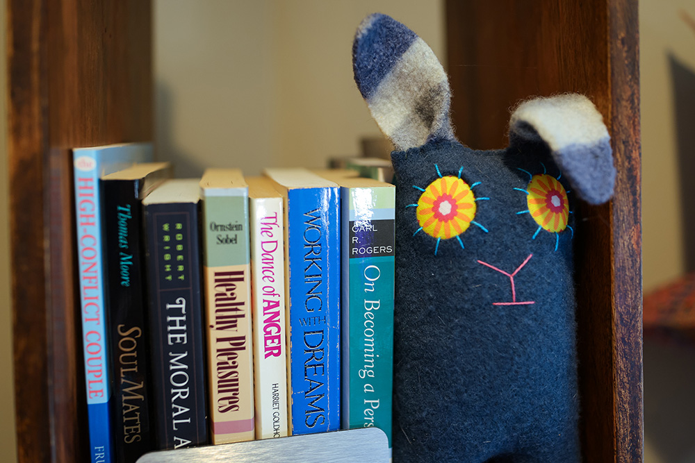 Bunny and books on a shelf